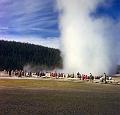 yellowstone old faithful